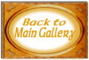 Back to Main Gallery!